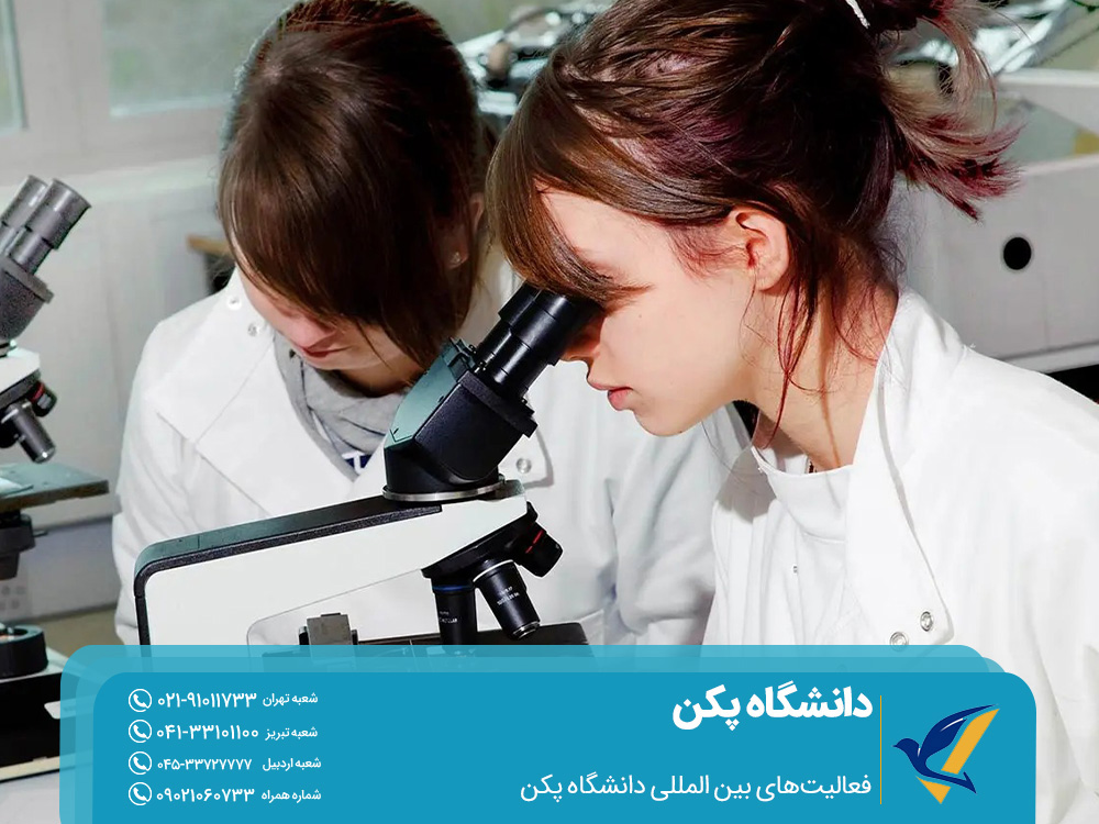 فعالیت های بین‌المللی