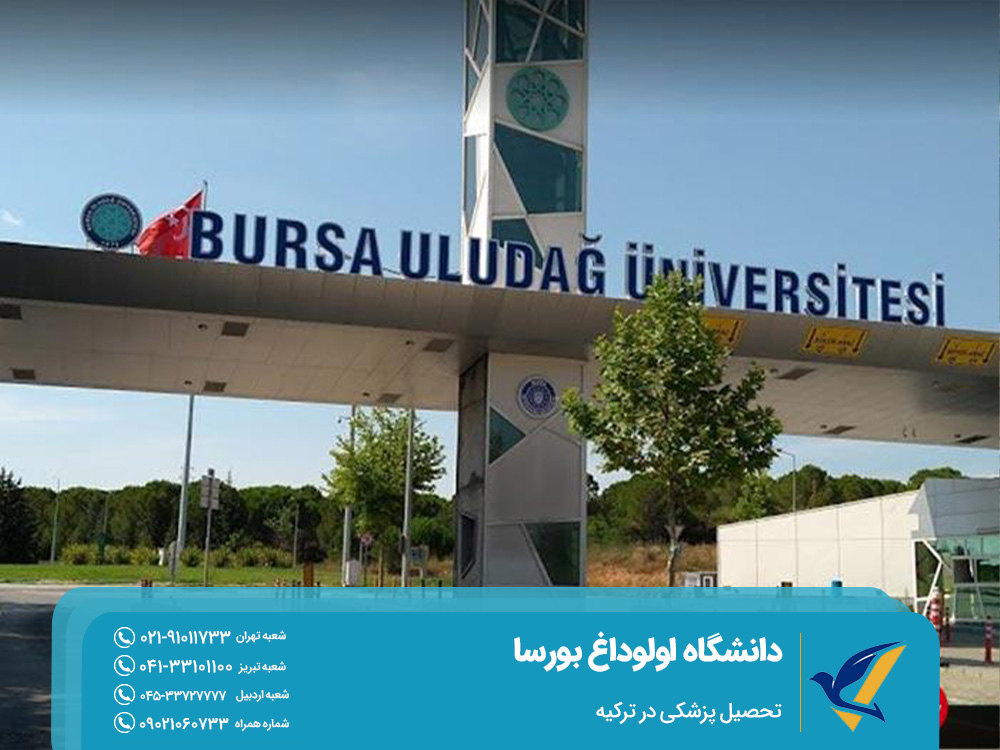 چرا تحصیل در دانشگاه اولوداغ ترکیه؟