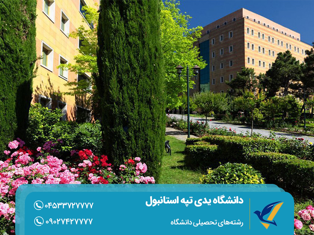 رشته‌های تحصیلی دانشگاه Yeditepe