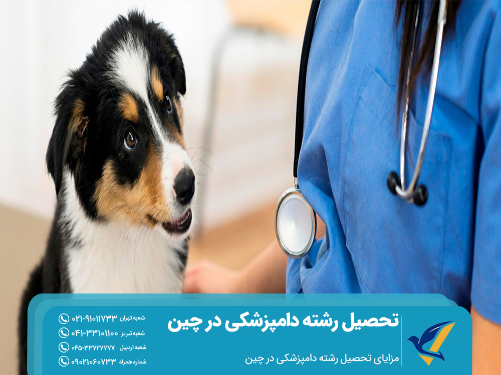 تحصیل رشته دامپزشکی در چین: دانشگاه ها و شرایط 5 مزایای تحصیل دامپزشکی در چین