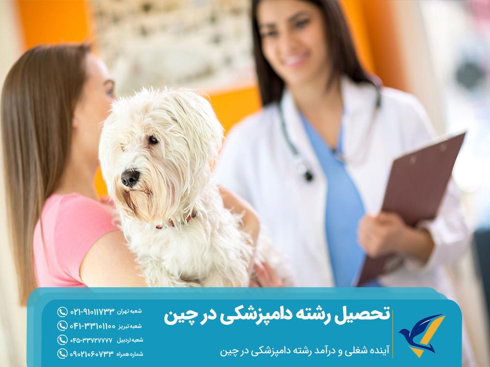 تحصیل رشته دامپزشکی در چین: دانشگاه ها و شرایط 6 آینده شغلی و درآمد رشته دامپزشکی در چین