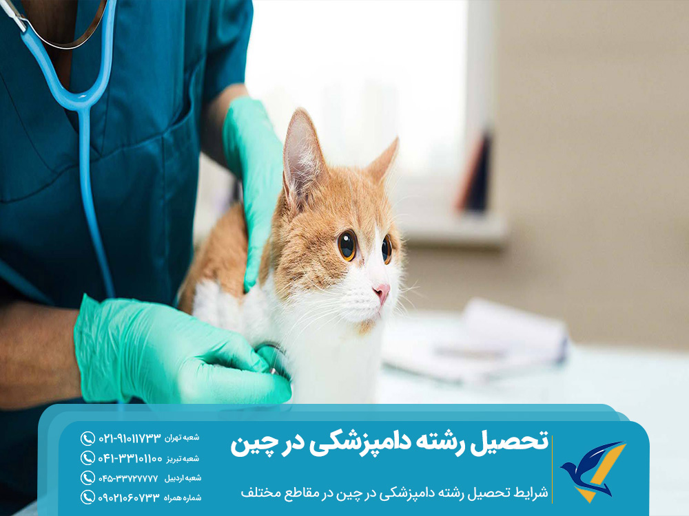 تحصیل رشته دامپزشکی در چین: دانشگاه ها و شرایط 2 شرایط تحصیل دامپزشکی در چین در مقاطع مختلف