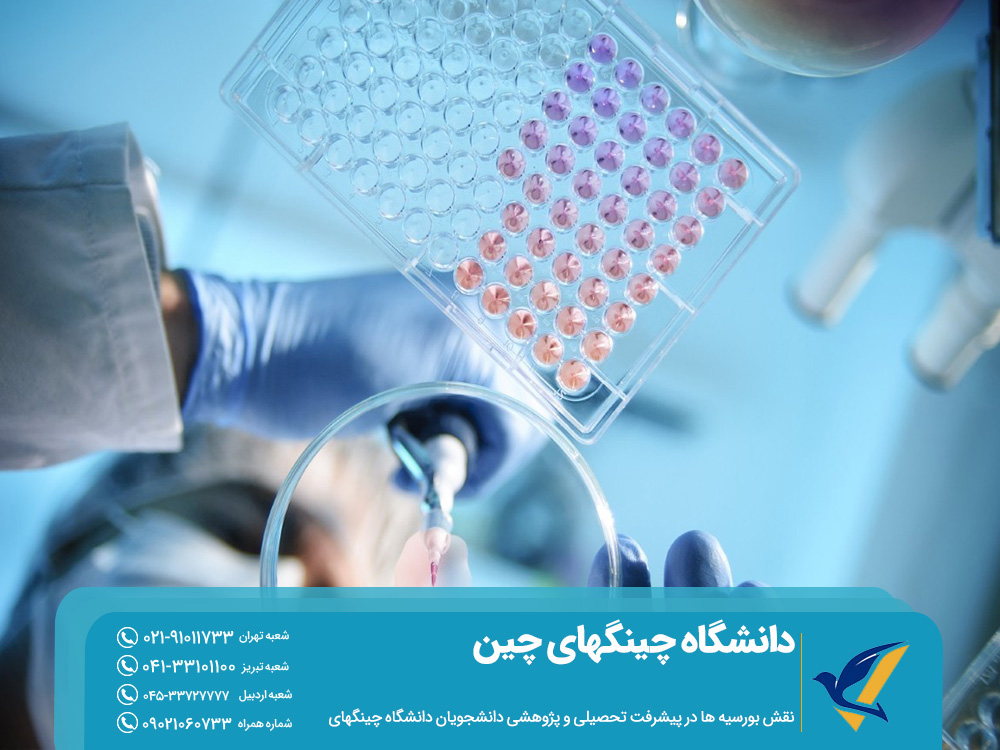 تحصیل در دانشگاه چینگهای چین: 2025 6 پیشرفت تحصیلی و تحقیقاتی دانشجویان دانشگاه چینگهای