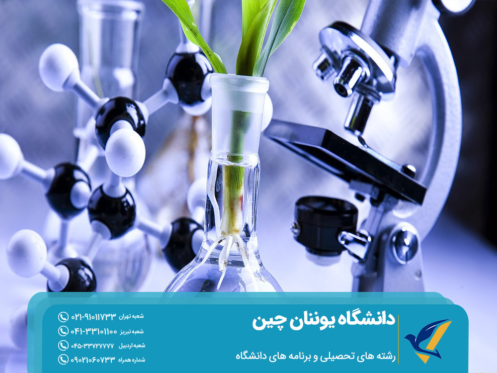 تحصیل در دانشگاه یوننان چین 2025: بورسیه 3 رشته های تحصیلی و برنامه های دانشگاه یوننان