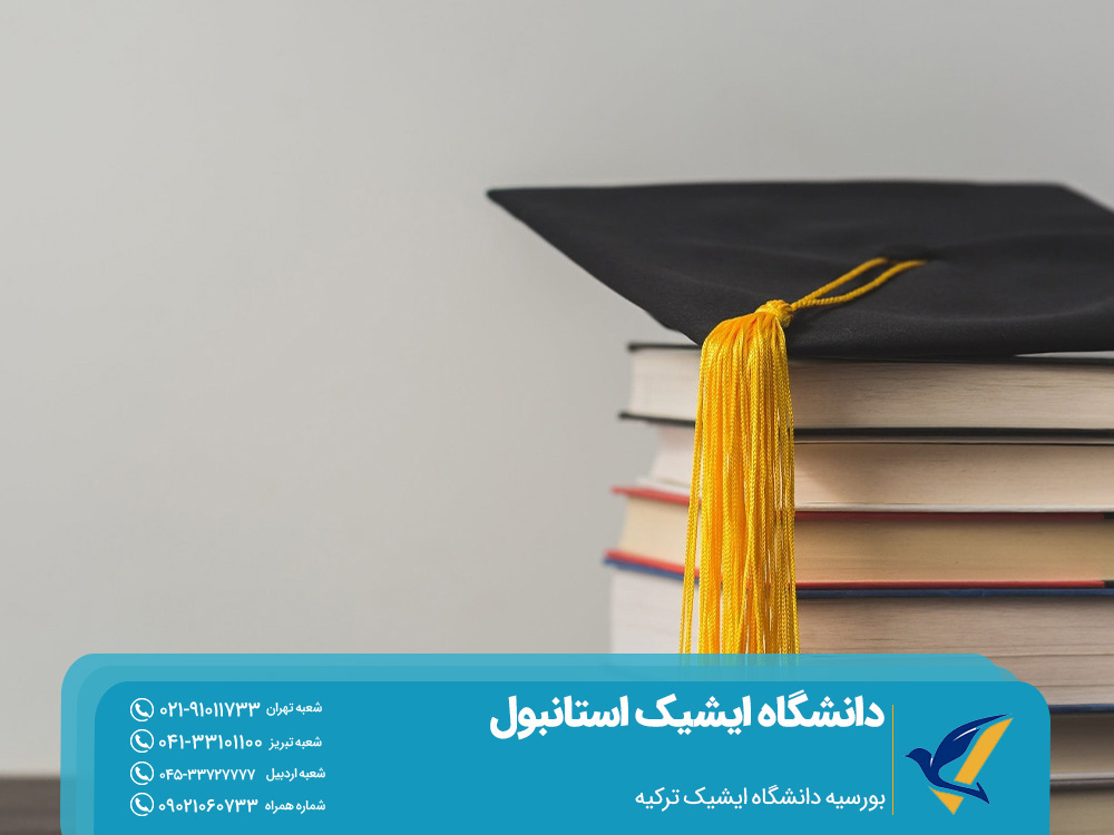 بورسیه دانشگاه ایشیک ترکیه