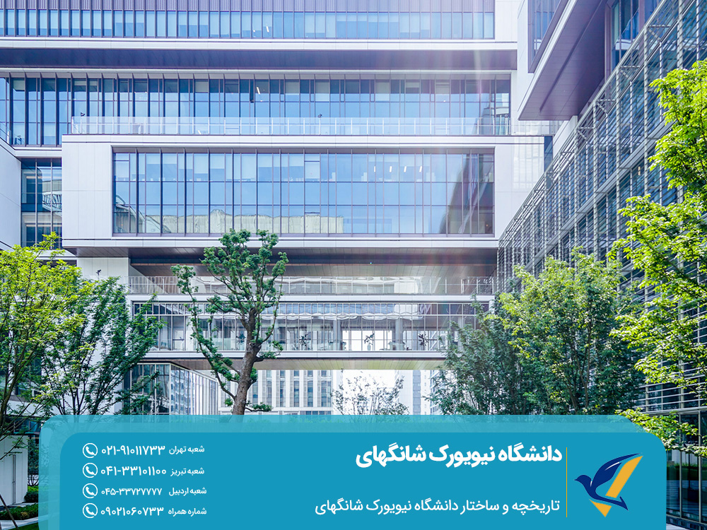 دانشگاه نیویورک شانگهای چین 2025: راهنمای کامل 2 تاریخچه و ساختار دانشگاه نیویورک شانگهای