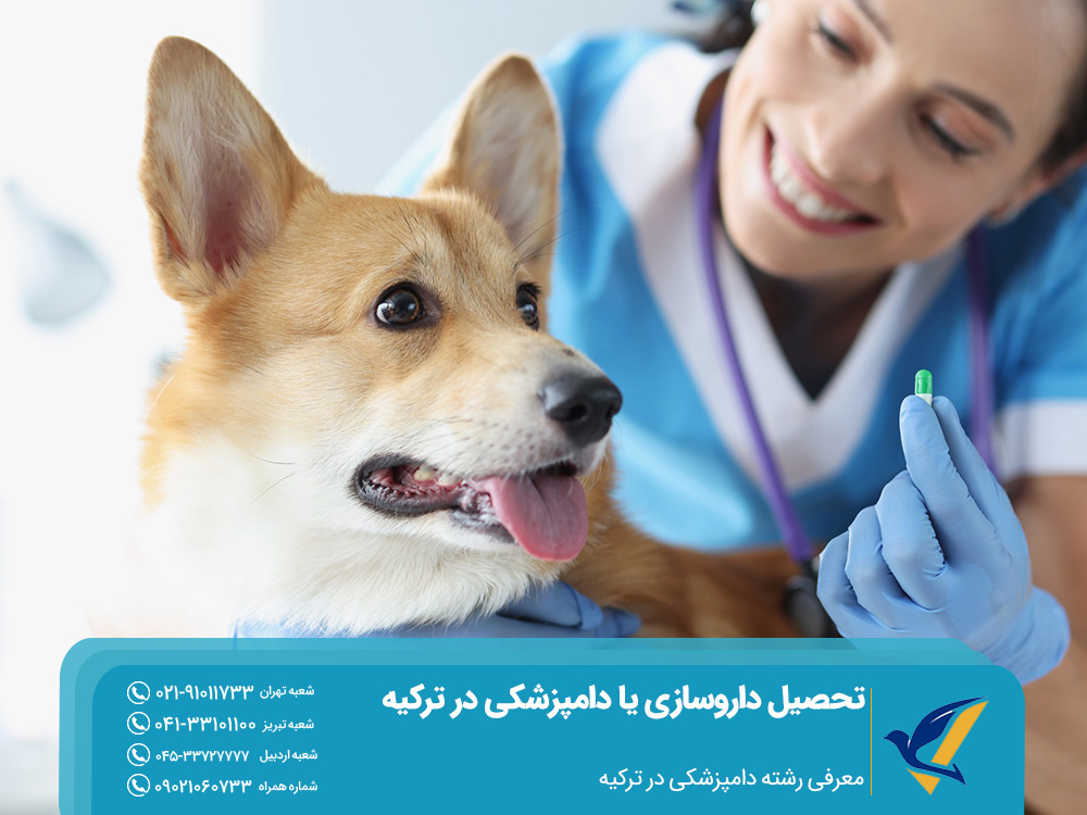 معرفی رشته دامپزشکی در ترکیه