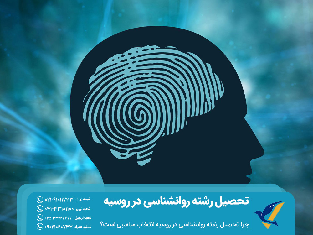 تحصیل رشته روانشناسی در روسیه 2025: هزینه ها و بهترین دانشگاه ها 2 چرا تحصیل رشته روانشناسی در روسیه انتخاب مناسبی است؟